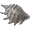 Image de Grand coquillage gris 12 cm