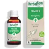 Image de Pranarom - Bourgeon de figuier -- 30 ml