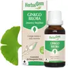 Image de Pranarom - Bourgeon de Ginkgo Biloba -- 30 ml