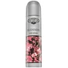 Image de Blossom Eau de Parfum pour femmes 100 ml - Cuba