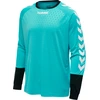 Image de Hummel ESSENTIAL GK JERSEY
