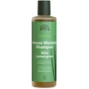 Image de Lemongrass sauvage - Shampooing 250ml