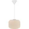 Image de Nordlux Suspension Milford 30 Opal blanc