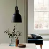 Image de Adrain Lampe à suspendre Ø25 cm Noir