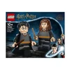 Image de LEGO Harry Potter 76393 Harry Potter et Hermione Granger - Neuf