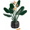 Image de Royal Strelitzia - ICONS  LEGO 10289