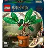 Image de Figurine Mandragore LEGO Harry Potter 76433 - Magie de Poudlard - Neuf