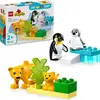 Image de LEGO DUPLO Familles d'animaux sauvages Pingouins et lions 10442