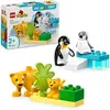 Image de Lego® Duplo 10442 - Familles D'animaux Sauvages : Pingouins Et Lions - Neuf