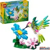 Image de Créateur Animaux sauvages : Colibri coloré
