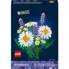 Image de Botanicals 11508 Marguerites - Neuf