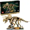 Image de Fossiles de dinosaures : Triceratops