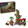 Image de Plantes pour le cours d'herbologie à Poudlard