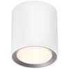 Image de Nordlux Landon Long LED bathroom ceiling light LED (monochrome) LED 6.5 W Warm white to cool white White