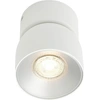 Image de Plafonnier LED inclinable NORDLUX Pitcher, Variante : Ø 100 x 123 mm , GU10, 10 W, blanc