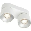 Image de Plafonnier LED inclinable NORDLUX Pitcher, Variante : Ø 100 x 240 mm , GU10, 2 x 10 W, blanc