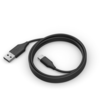 Image de Jabra PanaCast 50 Câble USB, 2m