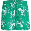 Image de Jack & Jones Fiji Aop short de bain vert 48 homme vert 48