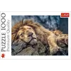 Image de Trefl Lion endormi