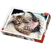 Image de Trefl Puzzle 1000 Pisicuta Vesela