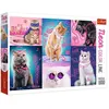 Image de TREFL Puzzle Neon Color Line Super Cats 1000 pièces