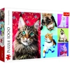 Image de TREFL Puzzle Happy Cats 1000 pièces