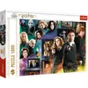 Image de Trefl 10668 puzzle Puzzle 1000 pièces Télévision/films