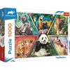 Image de Trefl 10672 puzzle Puzzle 1000 pièces Autre