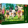 Image de Trefl 10800 puzzle Jigsaw puzzle 1000 pc(s) Animals