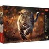 Image de Trefl TREFL Premium Plus Puzzle Wild Leopard, 1000 pcs