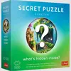 Image de Trefl PUZZLE 1000 PremPlus Secret Puzzle Sanctum 12104