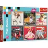 Image de Trefl Puzzle Merry Dogs 200 éléments 13279