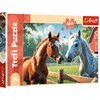 Image de TREFL Puzzle 200 Chevaux dans la clairière 13328