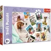 Image de PUZZLE CLUBS 300 Photos de vacances 23003