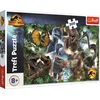 Image de TREFL PUZZLE 300 dinozaury JurassicWorld 23013
