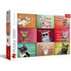 Image de PUZZLE CUBES 1500 Portraits de chats rigolos 26212