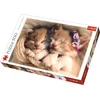 Image de Pause Chaton: Puzzle Sérénité 500 Pièces pour Évasion Éco-Responsable