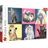 Image de TREFL PUZZLE 500 chatons 37377