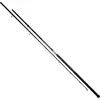 Image de Mikado Intro Canne à silure argent 3.00 m / 500 g argent 3.00 m
