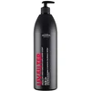 Image de Joanna Professional Filtre UV. Après-shampooing protecteur au parfum de cerise mûre pour cheveux colorés, 1 000 ml