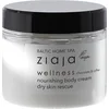 Image de Ziaja Baltic Home Spa Wellness Crema Café y Chocolate 300ml
