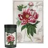 Image de Puzzle de 1000 pièces avec motif botanique de pivoine