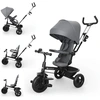 Image de Kinderkraft Tricycle ASTON 2 PLUS gris