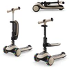 Image de Kinderkraft Trottinette évolutive 2 en 1 avec siège HALLEY 2 blanc