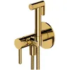 Image de Omnires Y SYSYBI2GL Ensemble de bidet encastré, doré