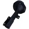 Image de Maxgear 11-0711 Amortisseur Mitsubishi 1607498180