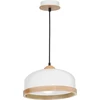 Image de Lampe suspendue 1x60W E27 STUDIO MLP8848 Milagro