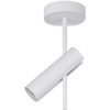 Image de Spot Mural/plafond Rond Blanc Sur Bras Gu10 25w Leda