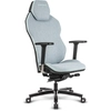 Image de Fauteuil De Bureau Pivotant Quersus 360 Icos.1.1 Bleu Pacifique