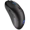 Image de ENDORFY GEM Plus Wireless souris Gaming Ambidextre RF Wireless + USB Type-C Optique 26000 DPI - Neuf